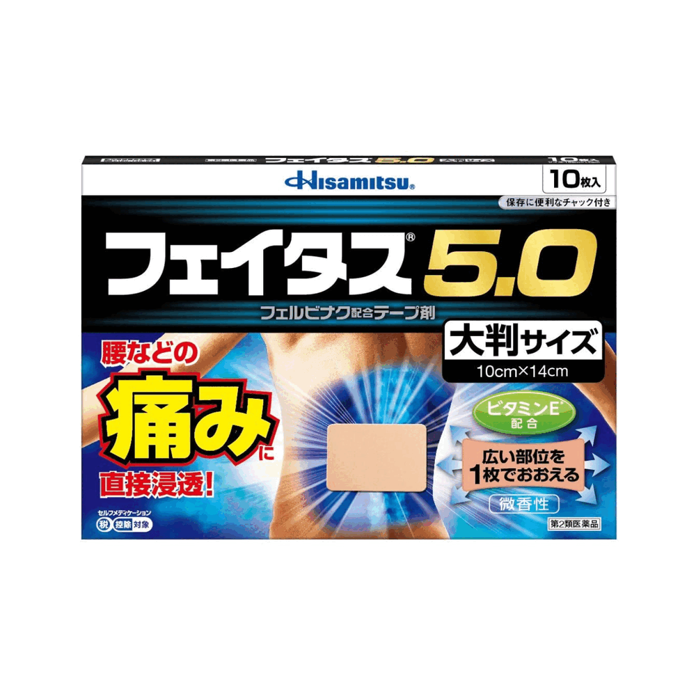 페이타스 5.0 대형 (10매)