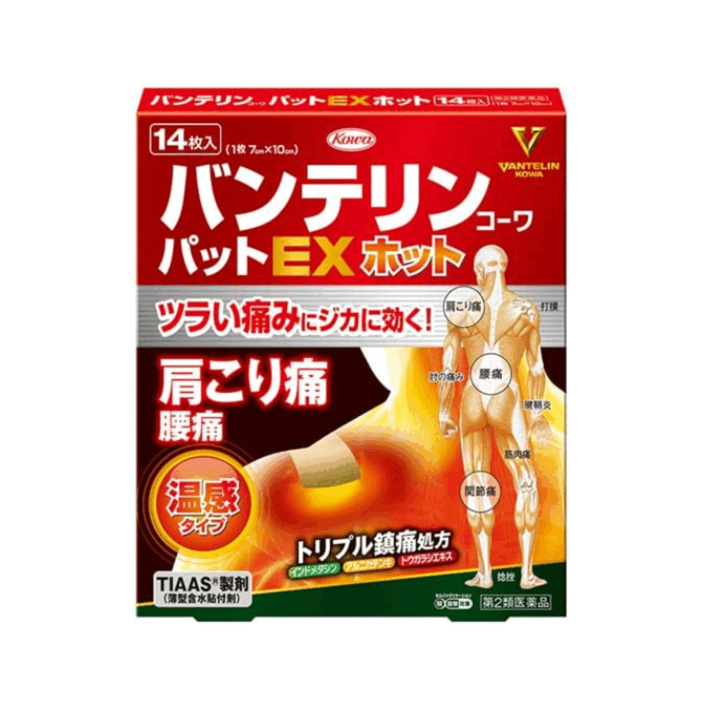 반테린 코와 퍼팅 EX 온감 파스 14장