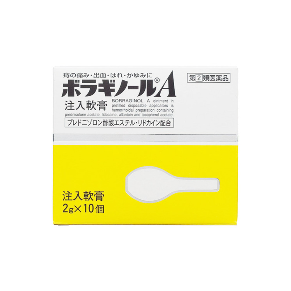 보라기놀A 치질연고 2g 10개입