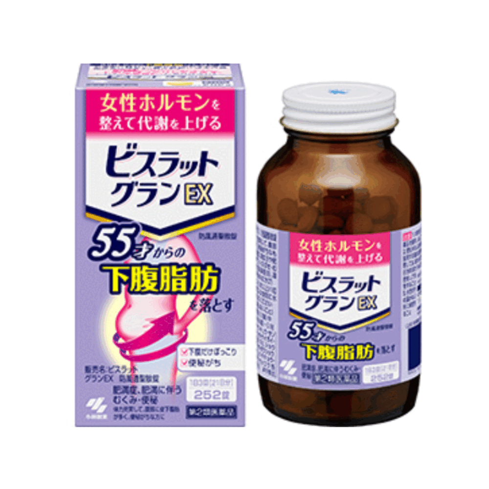 비스랏토 그랑 EX 방풍 252정